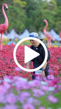 BIB:  <button type="button" onclick="openModal(27583060)" class="btn btn-primary btn-sm float-right" data-toggle="modal" data-target=".modal-high-quality">
                <i class="fa fa-download"></i> Download
                </button>